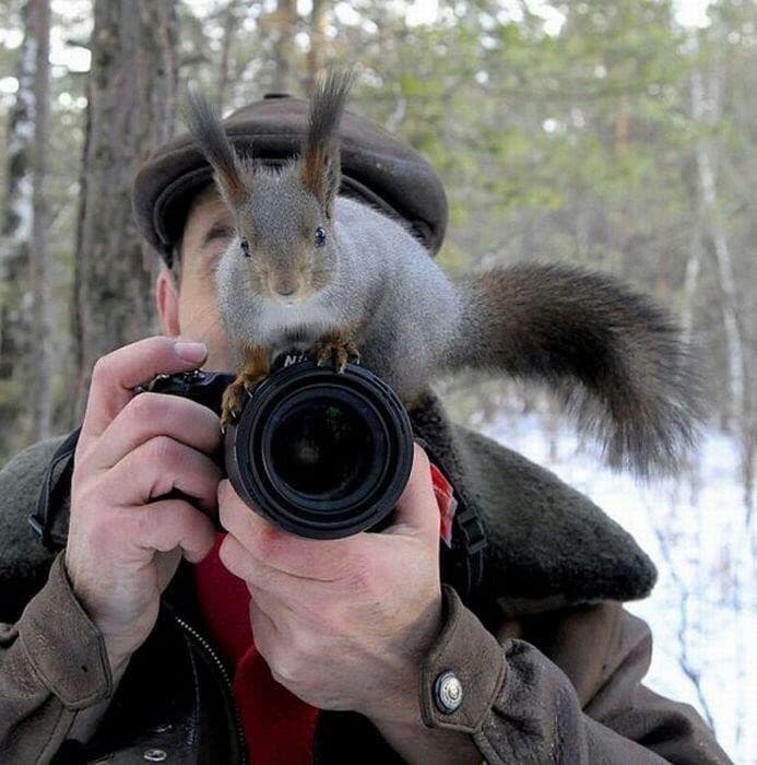 Wildlife & Nature Photography